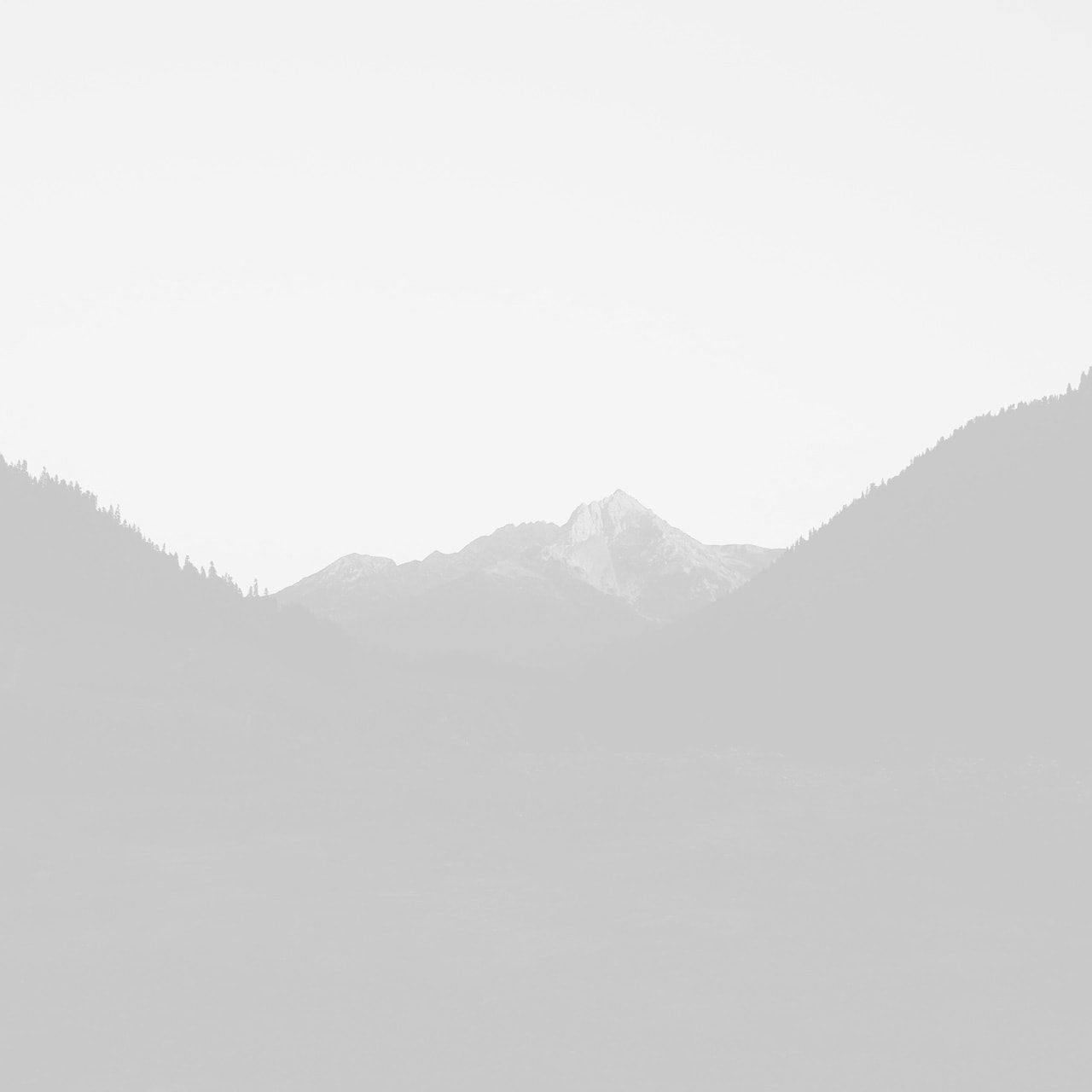 Demo media 162864006